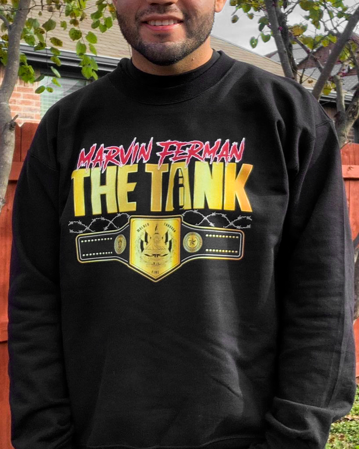 Wintry Mountain Landscape